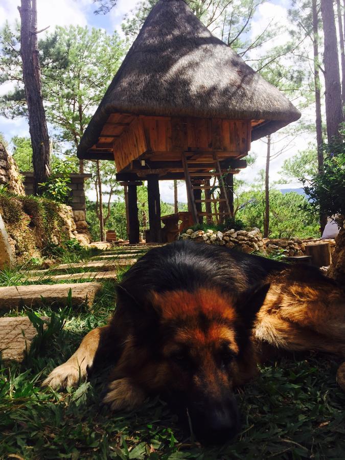 Sagada Heritage Village Buitenkant foto